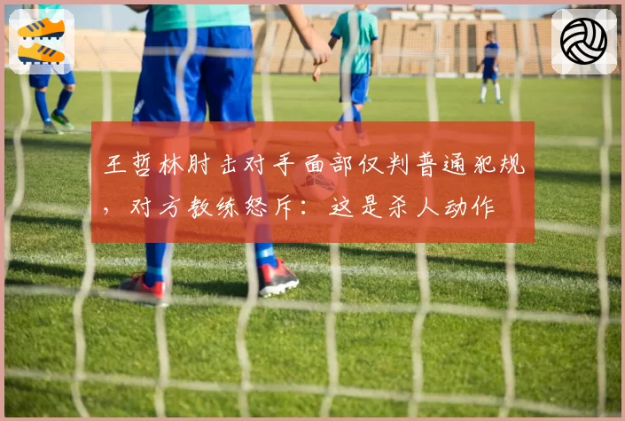 王哲林肘击对手面部仅判普通犯规，对方教练怒斥：这是杀人动作