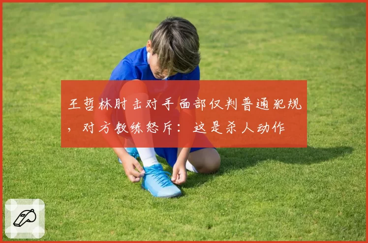 王哲林肘击对手面部仅判普通犯规，对方教练怒斥：这是杀人动作