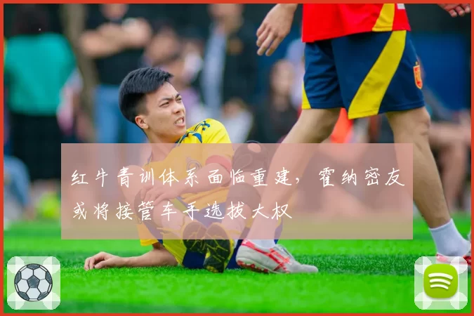 红牛青训体系面临重建,霍纳密友或将接管车手选拔大权