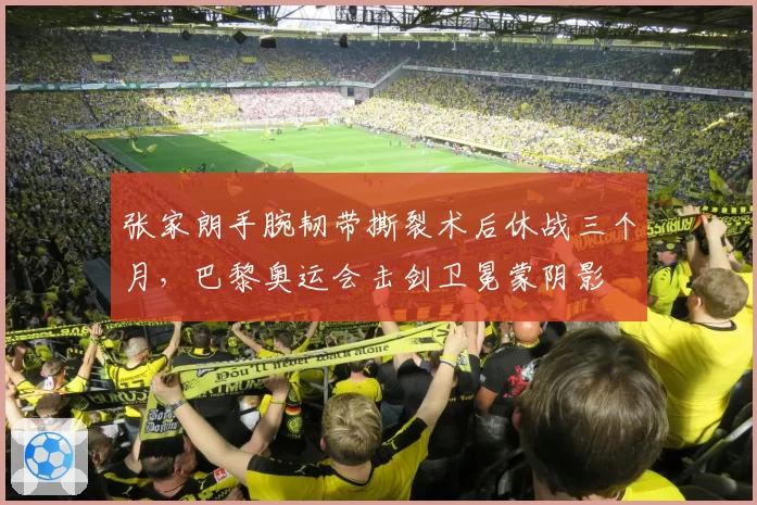 张家朗手腕韧带撕裂术后休战三个月，巴黎奥运会击剑卫冕蒙阴影